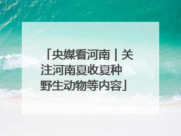 央媒看河南｜关注河南夏收夏种 野生动物等内容