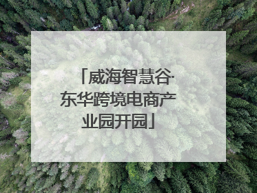 威海智慧谷·东华跨境电商产业园开园