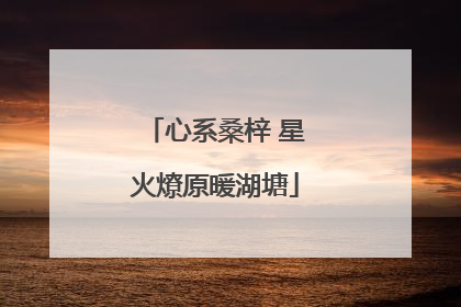 心系桑梓 星火燎原暖湖塘