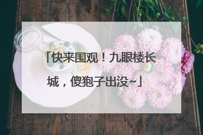 快来围观！九眼楼长城，傻狍子出没~