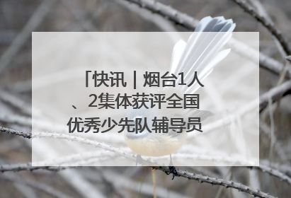 快讯｜烟台1人、2集体获评全国优秀少先队辅导员、集体荣誉称号