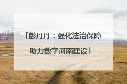 彭丹丹：强化法治保障 助力数字河南建设