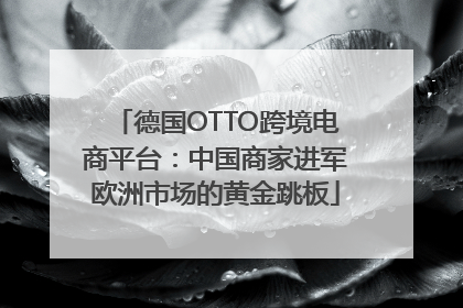 德国OTTO跨境电商平台：中国商家进军欧洲市场的黄金跳板