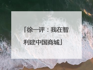 徐一评：我在智利建中国商城