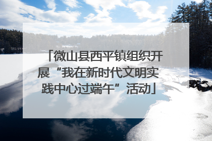 微山县西平镇组织开展“我在新时代文明实践中心过端午”活动