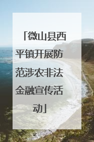 微山县西平镇开展防范涉农非法金融宣传活动