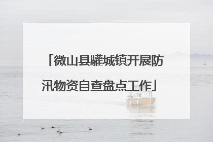 微山县驩城镇开展防汛物资自查盘点工作