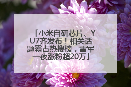 小米自研芯片、YU7齐发布！相关话题霸占热搜榜，雷军一夜涨粉超20万