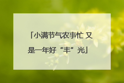 小满节气农事忙 又是一年好“丰”光