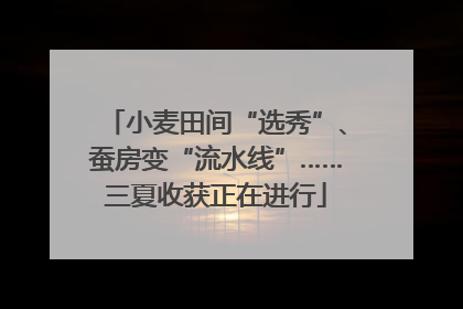 小麦田间“选秀”、蚕房变“流水线”……三夏收获正在进行