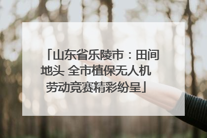 山东省乐陵市：田间地头 全市植保无人机劳动竞赛精彩纷呈