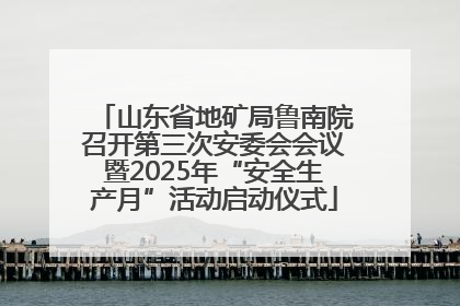 山东省地矿局鲁南院召开第三次安委会会议暨2025年“安全生产月”活动启动仪式