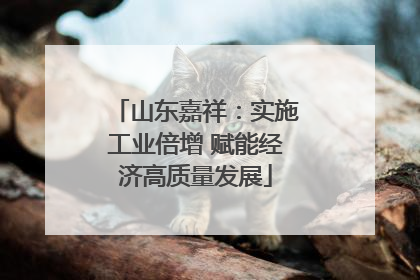 山东嘉祥：实施工业倍增 赋能经济高质量发展