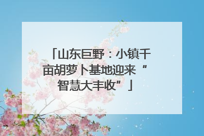 山东巨野：小镇千亩胡萝卜基地迎来“智慧大丰收”