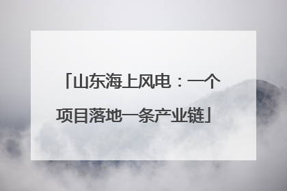 山东海上风电：一个项目落地一条产业链