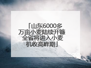 山东6000多万亩小麦陆续开镰 全省将进入小麦机收高峰期