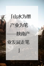 山水为墨 产业为笔——陕南产业发展走笔