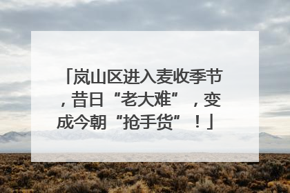 岚山区进入麦收季节，昔日“老大难”，变成今朝“抢手货”！