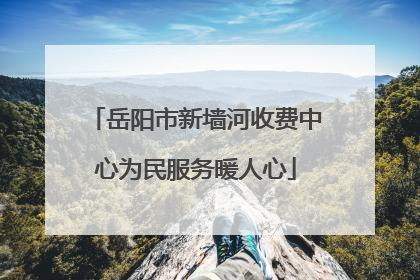 岳阳市新墙河收费中心为民服务暖人心