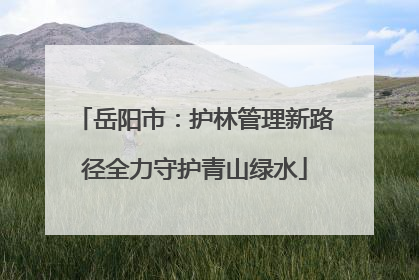 岳阳市：护林管理新路径全力守护青山绿水