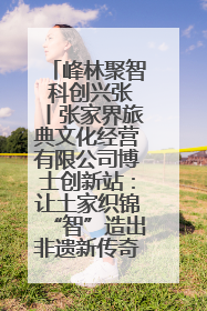 峰林聚智 科创兴张丨张家界旅典文化经营有限公司博士创新站：让土家织锦“智”造出非遗新传奇