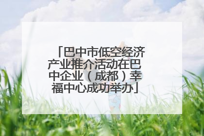 巴中市低空经济产业推介活动在巴中企业（成都）幸福中心成功举办