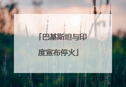 巴基斯坦与印度宣布停火