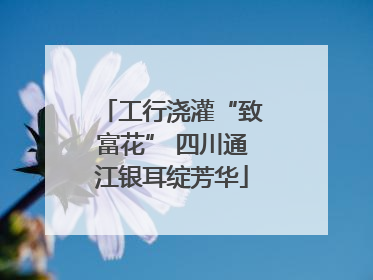 工行浇灌“致富花” 四川通江银耳绽芳华