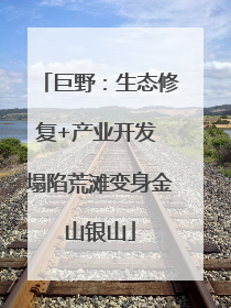 巨野：生态修复+产业开发 塌陷荒滩变身金山银山