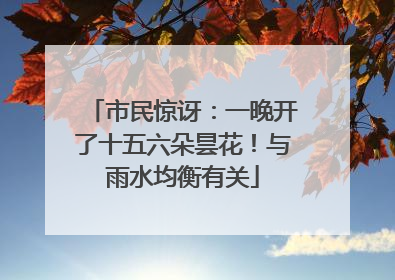 市民惊讶：一晚开了十五六朵昙花！与雨水均衡有关