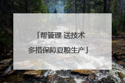 帮管理 送技术 多措保障夏粮生产