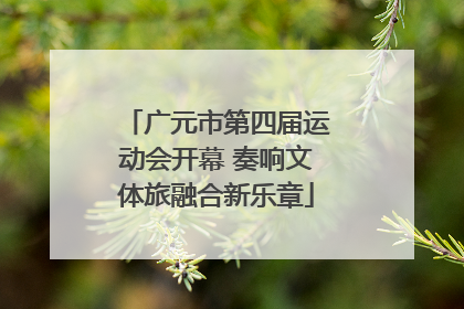 广元市第四届运动会开幕 奏响文体旅融合新乐章