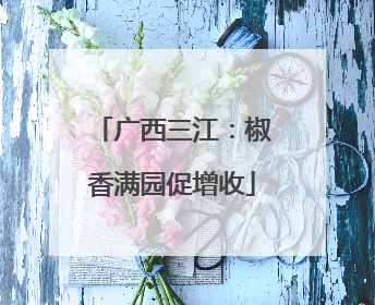 广西三江：椒香满园促增收