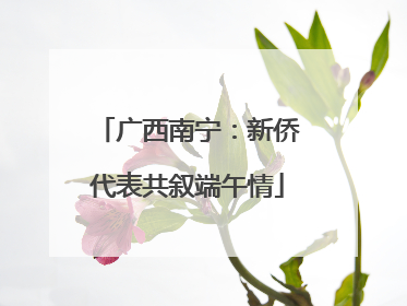 广西南宁：新侨代表共叙端午情
