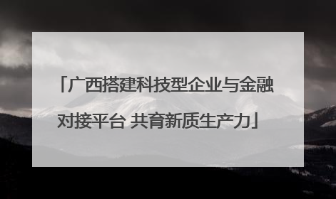 广西搭建科技型企业与金融对接平台 共育新质生产力