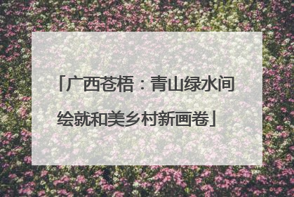 广西苍梧：青山绿水间绘就和美乡村新画卷
