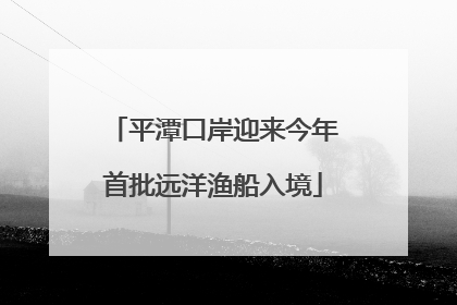 平潭口岸迎来今年首批远洋渔船入境