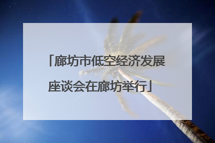 廊坊市低空经济发展座谈会在廊坊举行