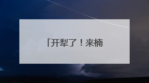 开犁了！来楠溪江共赴一场千年农耕之约