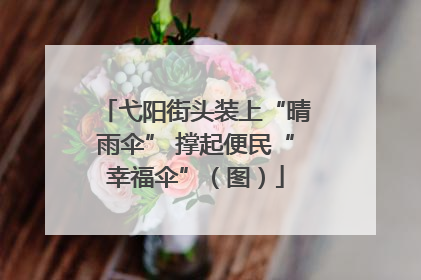 弋阳街头装上“晴雨伞” 撑起便民“幸福伞”（图）