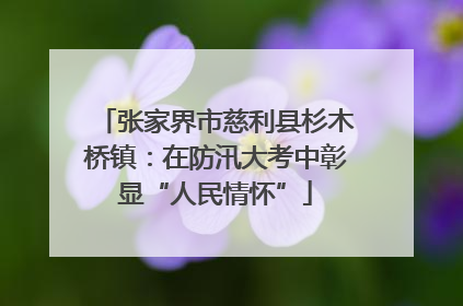 张家界市慈利县杉木桥镇：在防汛大考中彰显“人民情怀”
