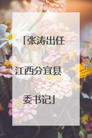 张涛出任江西分宜县委书记