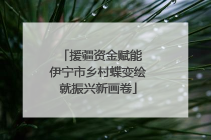 援疆资金赋能 伊宁市乡村蝶变绘就振兴新画卷