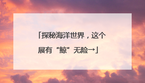 探秘海洋世界，这个展有“鲸”无险→