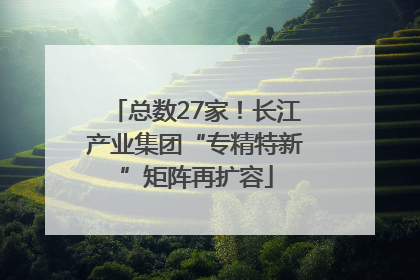 总数27家！长江产业集团“专精特新”矩阵再扩容