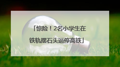 惊险！2名小学生在铁轨摆石头逼停高铁