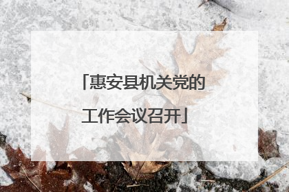惠安县机关党的工作会议召开