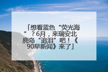 想看蓝色“荧光海”？6月，来瑞安北麂岛“追泪”吧！《90早新闻》来了