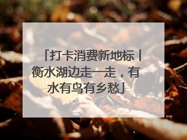 打卡消费新地标丨衡水湖边走一走，有水有鸟有乡愁