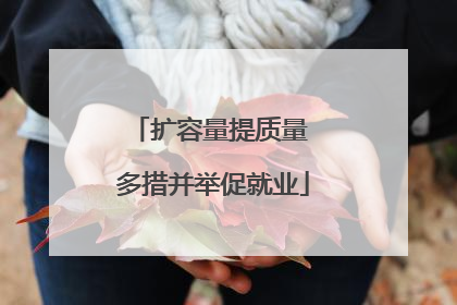 扩容量提质量 多措并举促就业